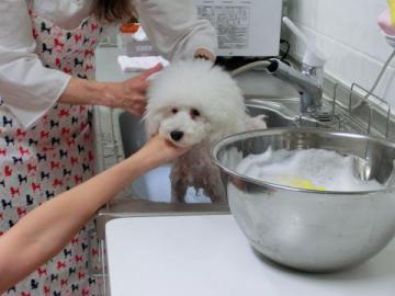 20120926-05.jpg
