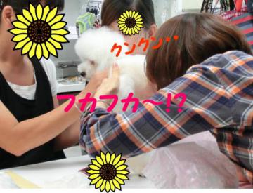 20120926-10.jpg