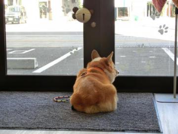 20121012-06.jpg
