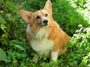 20121012-09.jpg