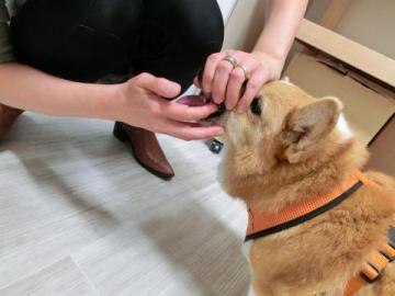 20121019-05.jpg