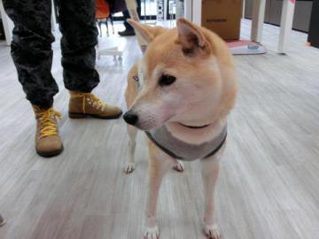 20121026-01.jpg