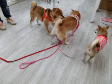 20121026-04.jpg