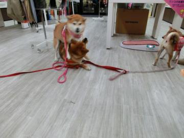 20121026-05.jpg