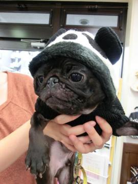 20121026-06.jpg