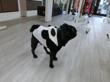 20121026-07.jpg