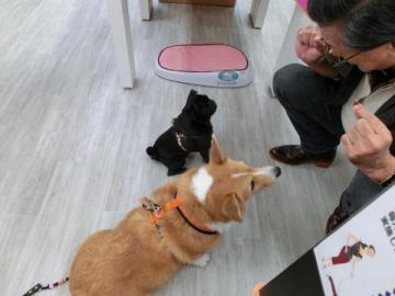 20121026-09.jpg
