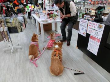 20121026-10.jpg
