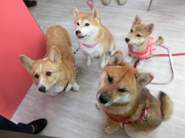 20121026-12.jpg