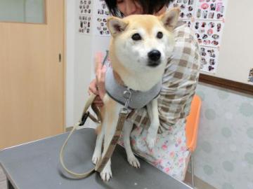 20121026-14.jpg
