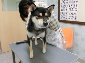 20121026-15.jpg