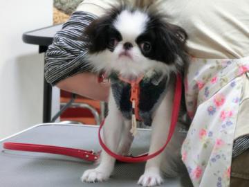 20121107-02.jpg
