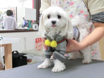 20121107-03.jpg