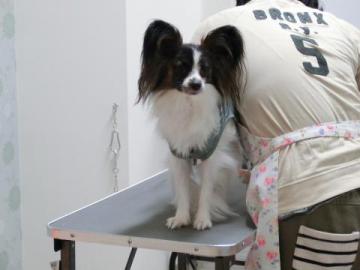 20121107-06.jpg