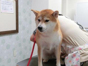 20121107-08.jpg