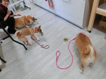 20121108-14.jpg
