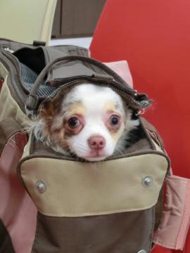 20121122-02.jpg