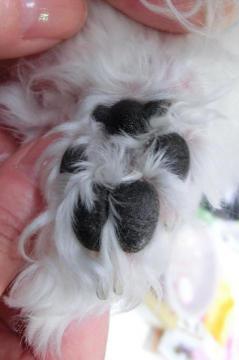 20121122-05.jpg