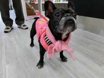 20121122-07.jpg
