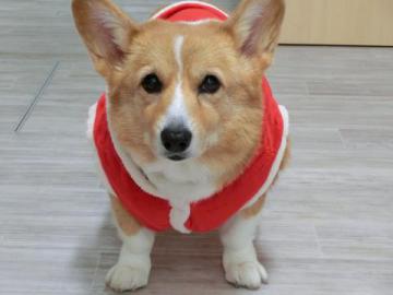 20121201-03.jpg