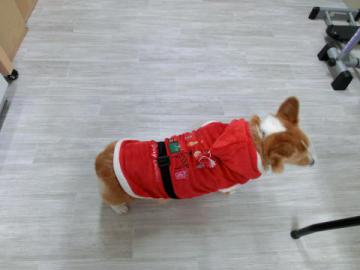 20121201-04.jpg