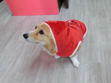 20121201-05.jpg