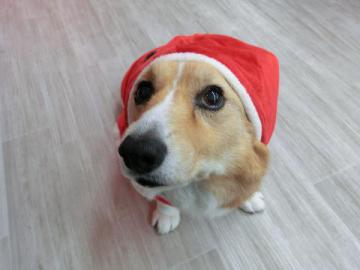 20121201-06.jpg