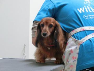 20121205-12.jpg