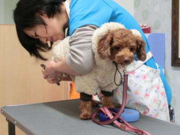 20121205-14.jpg