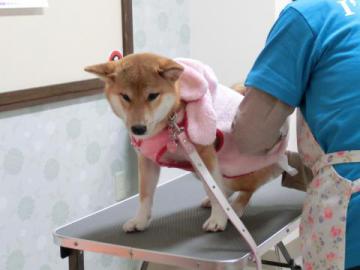 20121205-15.jpg