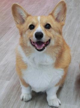 20121212-01.jpg