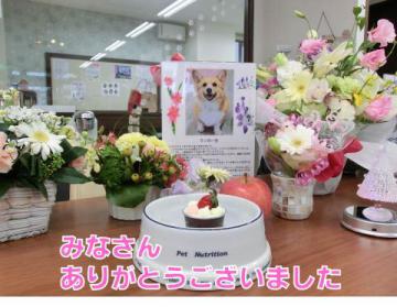 20121215-01.jpg