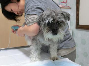 20121216-03.jpg