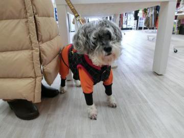 20121216-04.jpg