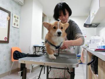 20121217-10.jpg