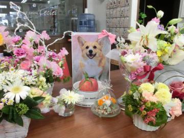 20121217-11.jpg