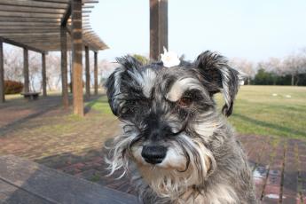 IMG_4810_convert_20130323224356.jpg