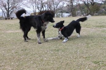 IMG_5096_convert_20130331232847.jpg