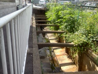 arima-hisasue9.jpg