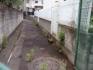 hanazono-ankyo1.jpg