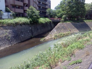 nunokawa-gouryuu.jpg