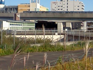 sakaida6.jpg