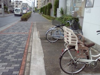 shibukawa-usui4.jpg