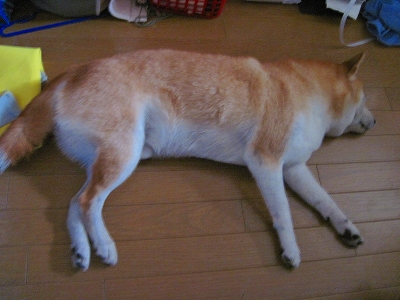 s-IMG_0872_20120802000025.jpg