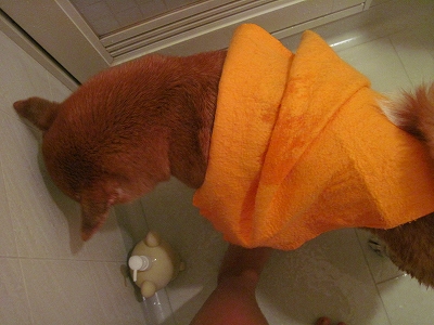 s-IMG_1547_20121024143749.jpg