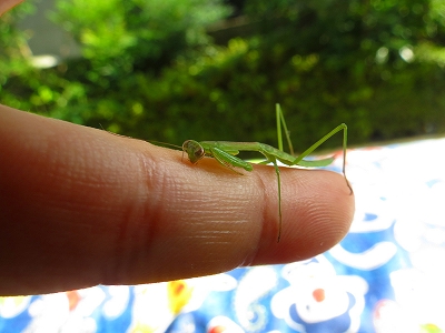 s-IMG_2928_20120803163006.jpg