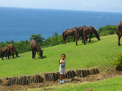 s-IMG_3175_20120814214102.jpg