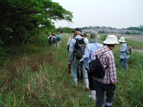 2012_0602JT 画像0020