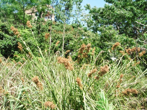 2012_0730JT 画像0012