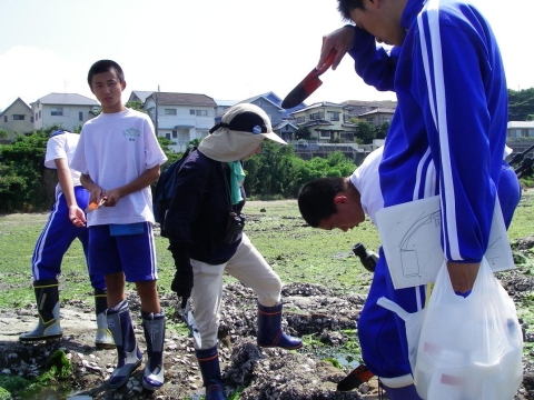 築 干潟生物調査・岩場